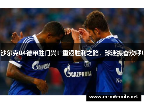 沙尔克04德甲胜门兴！重返胜利之路，球迷振奋欢呼！